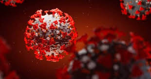 甲型流感病毒h1n1亞型（英語：influenza a virus subtype h1n1），是甲型流感病毒的一種，也是人類最常感染的流感病毒之一。 所謂「h1n1」是病毒名稱的縮寫，其「h」指的是血球凝集素（hemagglutinin）、而「n」指的是神. è¶Šå—ç™¼ç¾æ–°è®Šç¨®ç—…æ¯'æ··åˆå°åº¦åŠè‹±åœ‹ç—…æ¯'æ ª ä¿¡å ±ç¶²ç«™hkej Com
