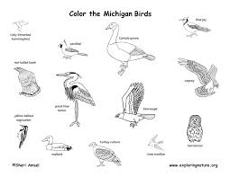 Below is a list of u.s. Michigan Habitats Mammals Birds Amphibians Reptiles