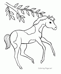 An overview of about 100 online coloring pages. Baby Horses Coloring Pages Coloring Home