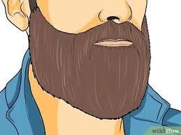 3 Simple Ways To Grow A Gandalf Beard Wikihow