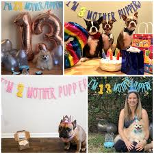 Dog Birthday Banner ∙ Happy Birthday Mother Puppers ∙ Dog Birthday  Decoration ∙ Lets Pawty ∙ Its My Birthday Mother Puppers ∙ Puppy Birthday