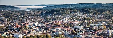 A city in western sweden. Boras Mots Installt Boras Naringsliv