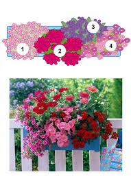 Balkonblumen Fantasievoll Kombiniert Balkon Blumen Geranien Blumen In Einer Schachtel