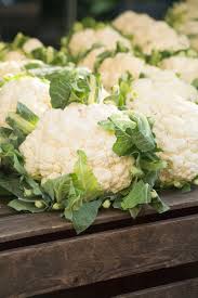 Cauliflower is a little harder to grow than its cabbage and broccoli relatives. How To Grow Cauliflower In Containers