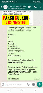 Siswa diberi waktu dua jam untuk mengamati situasi di sekitar. Addin Jadi Agen Cuckoo Negeri Sembilan