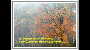 Taxi Toni Schoner Herbst Und Schone Spruche Youtube