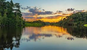 It is the smallest independent country on the south american continent. 14 Tage Suriname Rundreise Miller Reisen