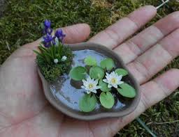 Then, add plants and shrubs native to your region. How I Make Miniature Water Lily And Lotus Mini Fairy Garden Fairy Garden Diy Fairy Garden