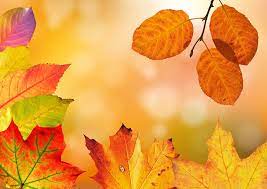 Commençons cette nouvelle saison avec quelques douceurs d'automne. Automne Feuilles Frontiere Photo Gratuite Sur Pixabay