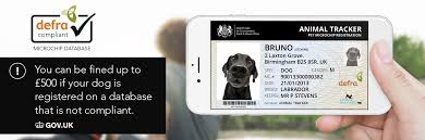 The pet microchip lookup tool, an online tool maintained by the american animal hospital association, should be the very first website you check. How Do You Find Out Your Dogs Microchip Number Dogwalls
