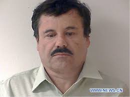Joaquin Guzman Aviseur International