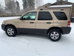 Image result for Gold Ash 2005 Escape