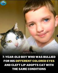 tish @tishta Follow LOVE when animals rest their little arms