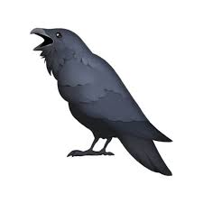 A Group Of Ravens Is Called An Unkindness Raven Taylor Swift Swift