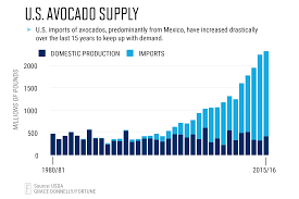 Why Avocado Prices Will Remain High Through The Summer Fortune