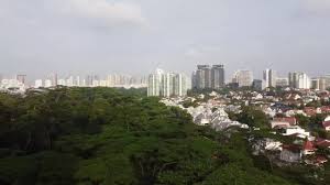 Wok inn restaurant, lifton magnets singapore, super gas, ifb to name a few. Save Dover Forest Savedoverforest For Our Sons And Daughters For Their Sons And Daughters For Singapore And The World