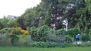 If you'd like to find things to do in the area, you may want to check out limassol marina and amathus beach. Community Gardening Wikipedia