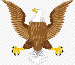 Pikbest has 299 eagle bird design images templates for free. Bald Eagle Bird Symbol Png 774x720px Bird Accipitriformes Bald Eagle Beak Bird Of Prey Download Free
