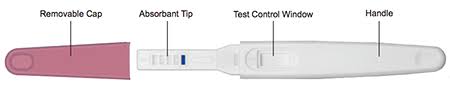 Pregnancy Midstream Tests Instruction Www Early Pregnancy Tests Com