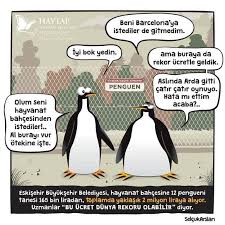 Hayvanat Bahceleri Gerceginde Yaptiklarimiz Kutuphane Haytap Haytap Hayvan Haklari Federasyonu