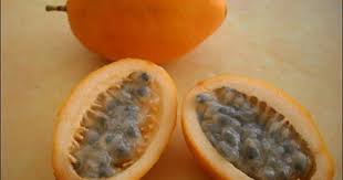 Zabrico Gourmand Fruits Exotiques Fruits Tropicaux Fruits Et Legumes