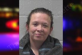 Tamara Buttram — Gilmer County Jail Bookings