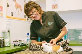 Our team of orlando veterinarians is ready to help you and answer any questions you may have. Potts Point Exotics Pet Vet Potts Point Veterinary Hospital Sydney