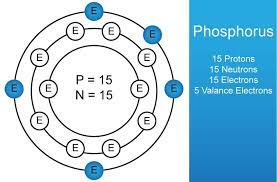 Check spelling or type a new query. How Do Solar Cells Work Bysolar Inc Matter Worksheets Atom Project Atom Model Project