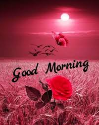 Maybe you would like to learn more about one of these? 300 Heart Touching Good Morning Messages Best Good Morning Wishes Explorepic