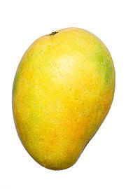 Daun mangga juga memiliki nilai nutrisi yang sama dengan buahnya sehingga dapat pertimbangkan untuk dikonsumsi, terutama pucuknya. Mangga Wikipedia Bahasa Melayu Ensiklopedia Bebas
