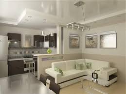 гостиная и спальня в одной комнате 20 кв м фото Zal Sovmeshennyj S Kuhnej Poisk V Google Dom Dizajnerskie Gostinye Dizajn