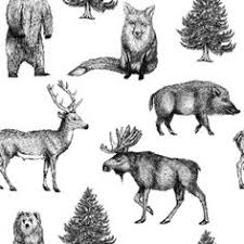 Waldtiere zum ausmalen mandala ausmalen grundschule. 73 Waldtiere Ideen Waldtiere Wald Grundschule Tiere Des Waldes