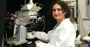 Laboratorio diagnostico dottori canfora, leader nel settore della diagnostica di laboratorio, è accreditato con il. Ricerca Scientifica News Il Fatto Quotidiano