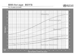 Chart Of Bmi For Age In Boys Download Scientific Diagram