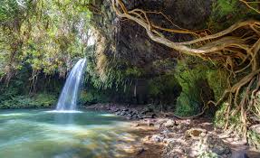 Like others, the cfar will only cover up to 75% and has to be canceled 48 hours prior to the beginning of your trip. Travel Insurance Maui Vacation Rentals Maui Real Estate Quam Properties Hawaii