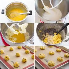 We bought the ice cream maker attachment for our kitchenmaid mixer a few years ago and we just adore making ice cream on a hot summer day. Egg Yolk Cookies Sweet Savory