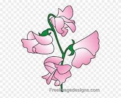 Download Peas Drawing Sweet Pea Sweet Pea Flower Design Clipart 539790 Pinclipart