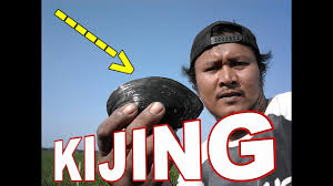 Dalam pemisahan air tawar dari air asin. Masak Kijing Kerang Air Tawar Sungai Kali Youtube
