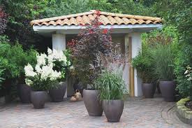 Terrasse Pflanzen Terrasse Pflanzen Und Garten Gestalten
