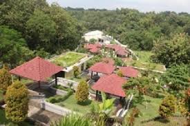 Wisata negri sakura bayat / rute dan alamat bukit cinta watu prahu bayat jawa tengah tempat selfie paling romantis yang layak dikunjungi daka tour. Selain Kampung Wisata Lampion Ini 5 Wisata Ngehits Di Sragen