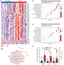 It's a common childhood illness that can affect adults too. Neutrophilic Inflammation In The Respiratory Mucosa Predisposes To Rsv Infection Science