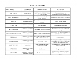 45 described cell organelles with their functions