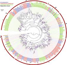 We are the #1 pest management company working with homebuilders and perform more than 2 million services per. Putative Ligand Binding Sites Of Two Functionally Characterized Bark Beetle Odorant Receptors Springerlink
