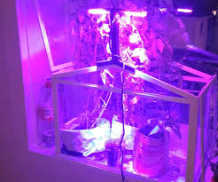 Diy Plant Grow Light Led Grow Lights Diy Grow Lights For Plants Grow Lights Diy