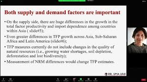 How to make nutritious diets more affordable, accessible and adequate