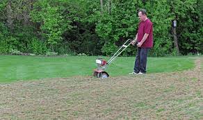 How and when to dethatch your lawn. Dethatching When And How To Dethatch Your Lawn