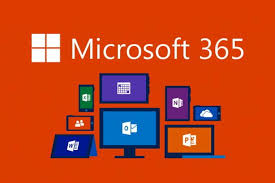 All microsoft office 365 plans are offered with cdw basic or standard support. Microsoft 365 It Hub