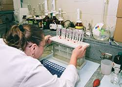 Image result for forensic toxicology