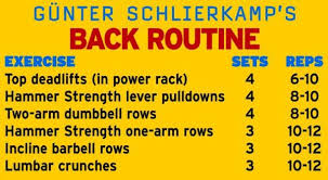 gunter schlierkamp back barbell row back routine power rack