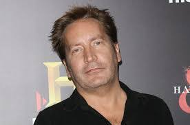 David Vibert's Instagram, Twitter & Facebook